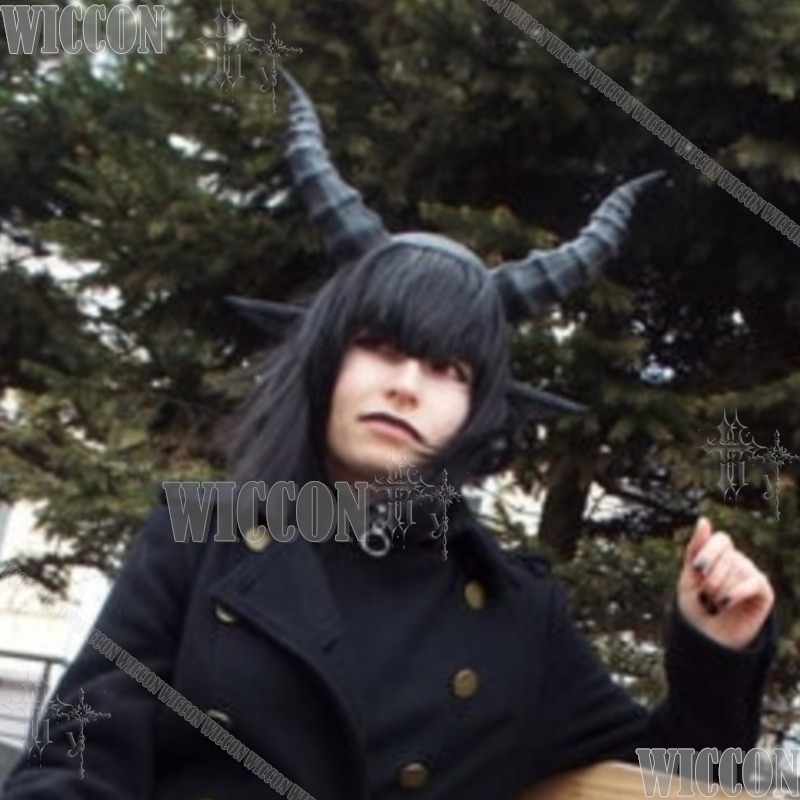 Black Demon Horn And Ear Headp - Party Games Stream 评论和价格