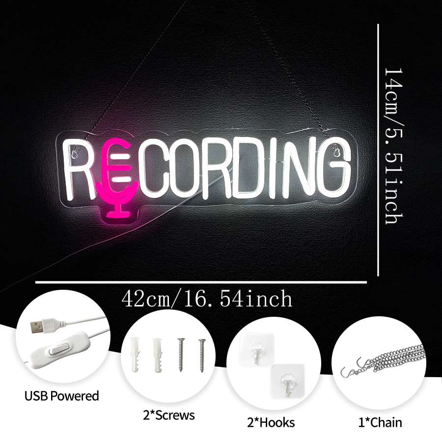 RECORDING Neon Sign, USB Power - Party Games Stream 评论和价格